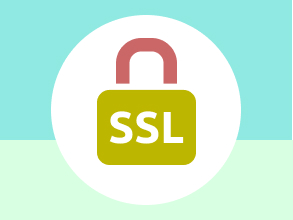 SSL・ドメイン・保守の確認・更新業務